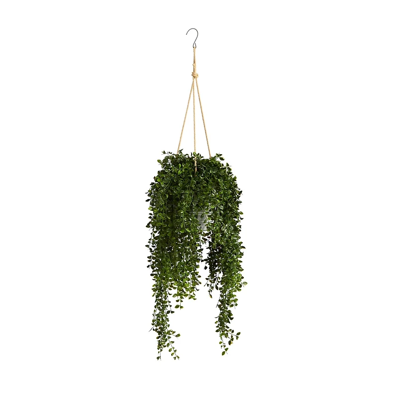 4ft. Honey Locust Plant in Hanging Metal Bucket