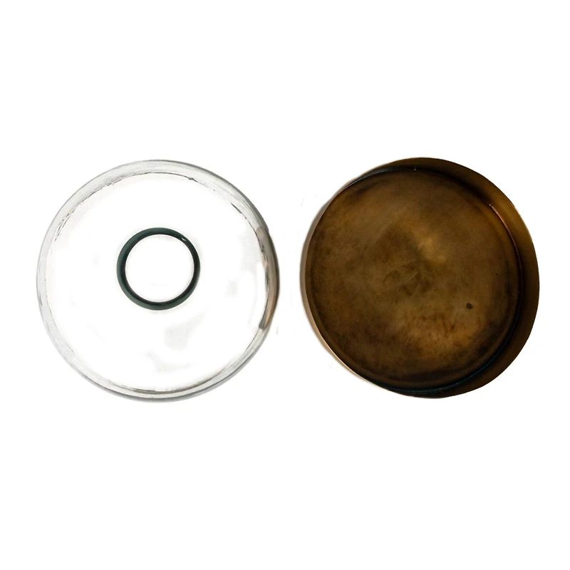 Hello Honey® 10" Clear & Antique Sophisticated Glass Cloche with Metal Tray