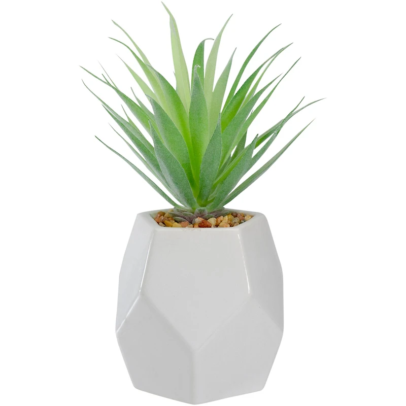 7.5" Green Sword Grass in White Geometric Pot