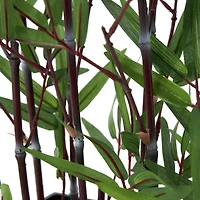 18" Green Foliage Artificial Plant with Black Pot