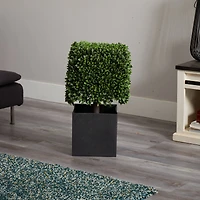 27" Boxwood Artificial Plant in Black Planter