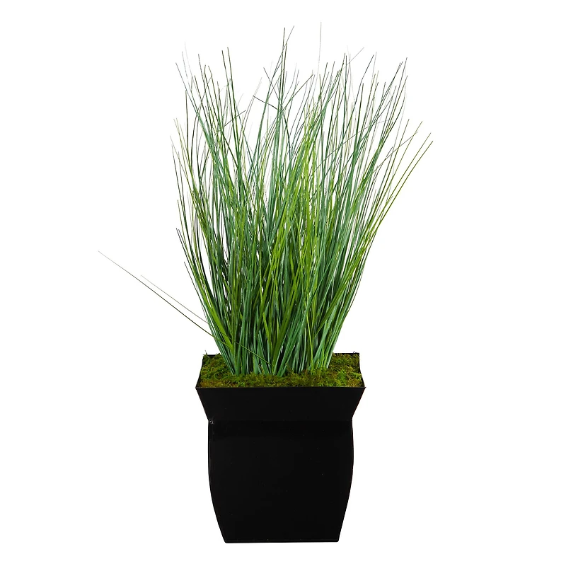 21" Onion Grass Plant in Black Metal Planter