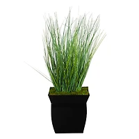 21" Onion Grass Plant in Black Metal Planter