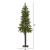5ft. Pre-Lit Alaskan Alpine Artificial Christmas Tree, Clear LED Lights