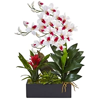 23.5" White & Red Pigeon Orchid & Bromeliad Arrangement in Black Rectangle Planter