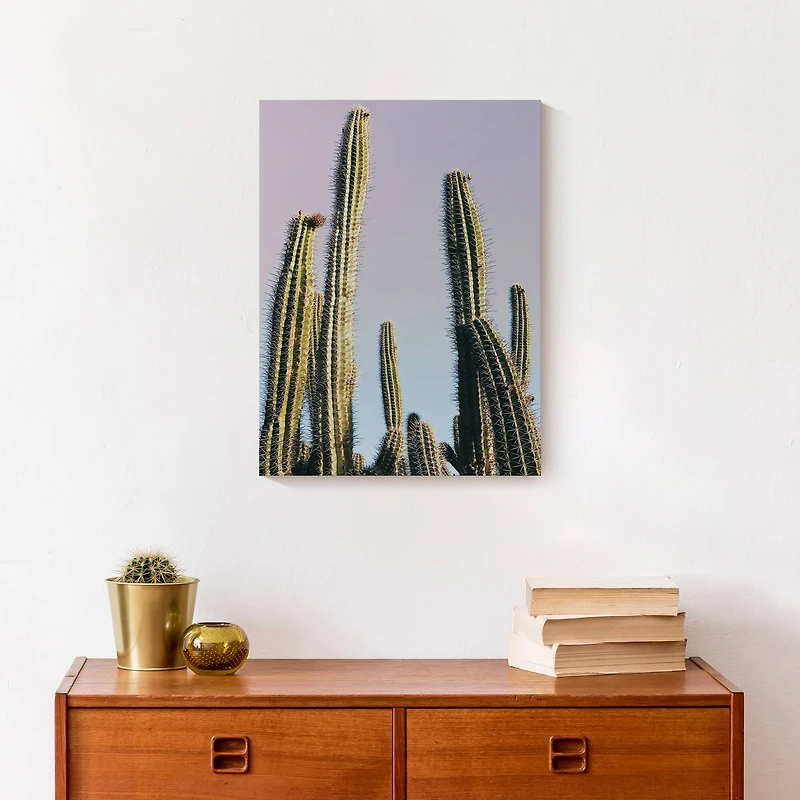 Tall Cactus 12" x 16" Canvas Wall Art