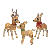 Lighted Outdoor Wire Frame Deer Set