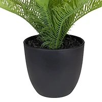 12" Potted Green Pinus Plant