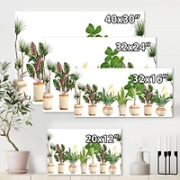 Designart - Trio of Houseplants Sanseviera Snake Plant