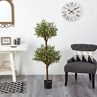 4.5ft. Potted Olive Double Topiary Tree