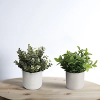 Flora Bunda® 3.75" Bee Kind Ceramic Tea Leaf & Bee Happy Eucalyptus In Ivory Pots Set