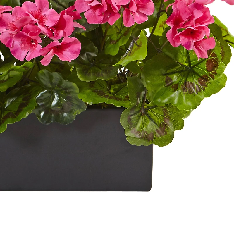 13" Beauty Geranium in Rectangular Planter