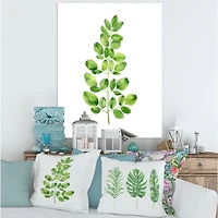 Designart - Moringa Branch Tropical Tree Foliage