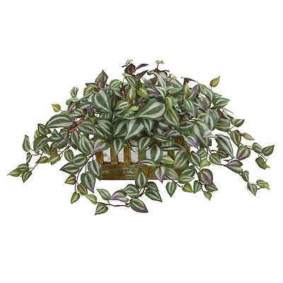13" Inchplant in Decorative Planter