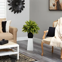 18" Spiderwort Plant in Black Metal Planter