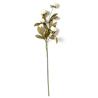 Cream Peony Stem by Ashland®