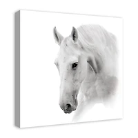 White Horse 24" x 24" Canvas Wall Art