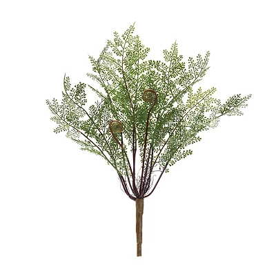 13" Fern Bushes, 2ct.