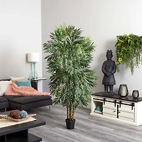 6ft. Potted Bella Palm Tree