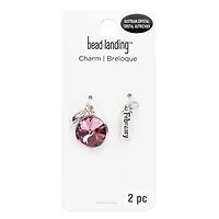Austrian Crystal Birth Month Charm Set by Bead Landing