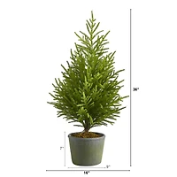 3ft. Unlit Norfolk Island Pine Artificial Potted Christmas Tree