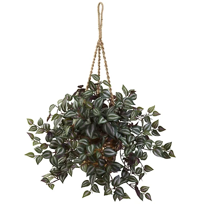 20" Inchplant Hanging Basket