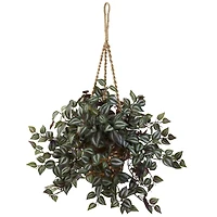 20" Inchplant Hanging Basket