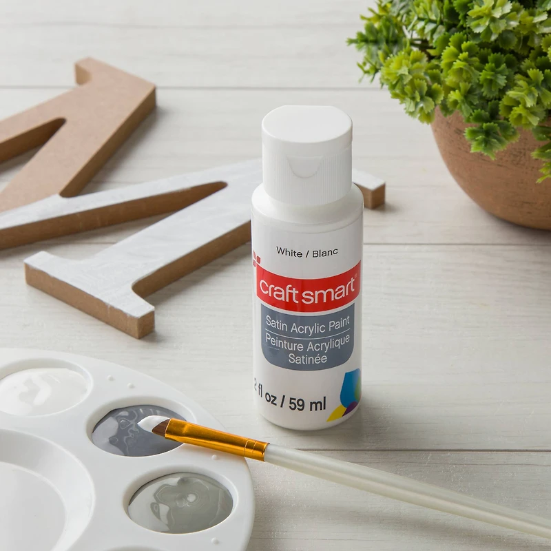 12 Pack: Satin Acrylic Paint by Craft Smart®, 2oz.