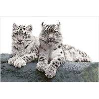 Diamond Dotz® Intermediate Snow Leopards Hemis National Park Diamond Painting Kit