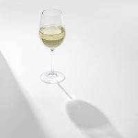 JoyJolt® Golden Royale 14oz. Crystal White Wine Glasses, 2ct.