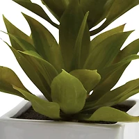 11.5" Double Mini Agave Arrangement with Planter, 2ct.