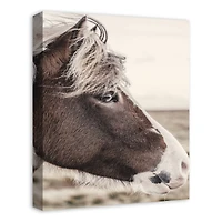 Horse Pondering 16" x 20" Canvas Wall Art