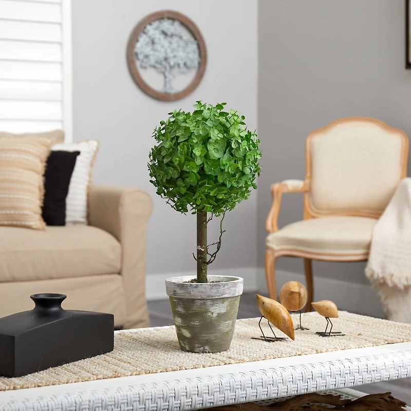 20" Potted Eucalyptus Single Ball Topiary Tree