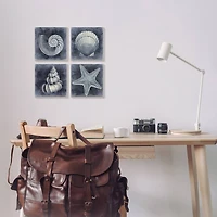 Stupell Industries Nautical Distressed Seashells and Starfish Blue White Canvas Wall Art, 17" x 17"