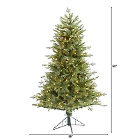 5ft. Pre-Lit New Hampshire Spruce Artificial Christmas Tree, Warm White LED Lights