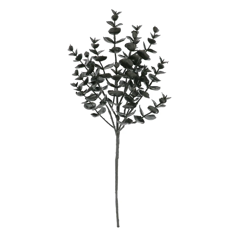 15" Black Eucalyptus Pick by Ashland®