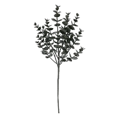 15" Black Eucalyptus Pick by Ashland®