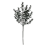 15" Black Eucalyptus Pick by Ashland®
