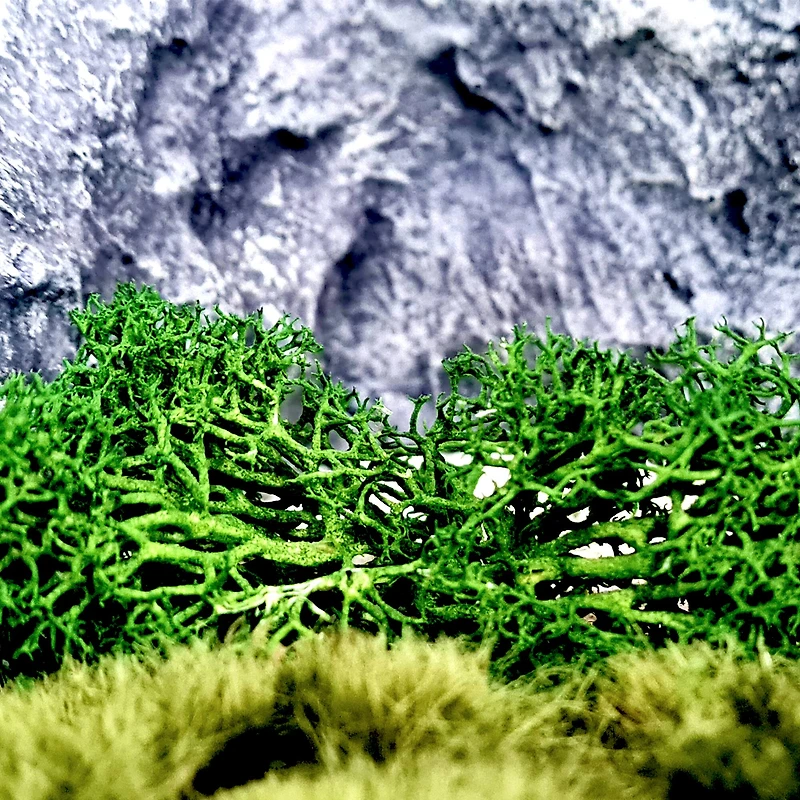 JTT Scenery Products Green Landscape Lichen
