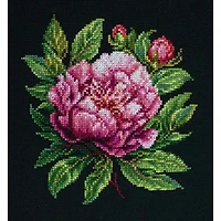 Luca-S Peter Brand Peony Counted Cross Stitch Kit with Display Hoop