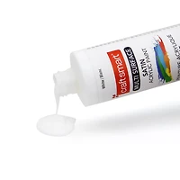 Multi-Surface Premium Satin Acrylic Paint by Craft Smart
