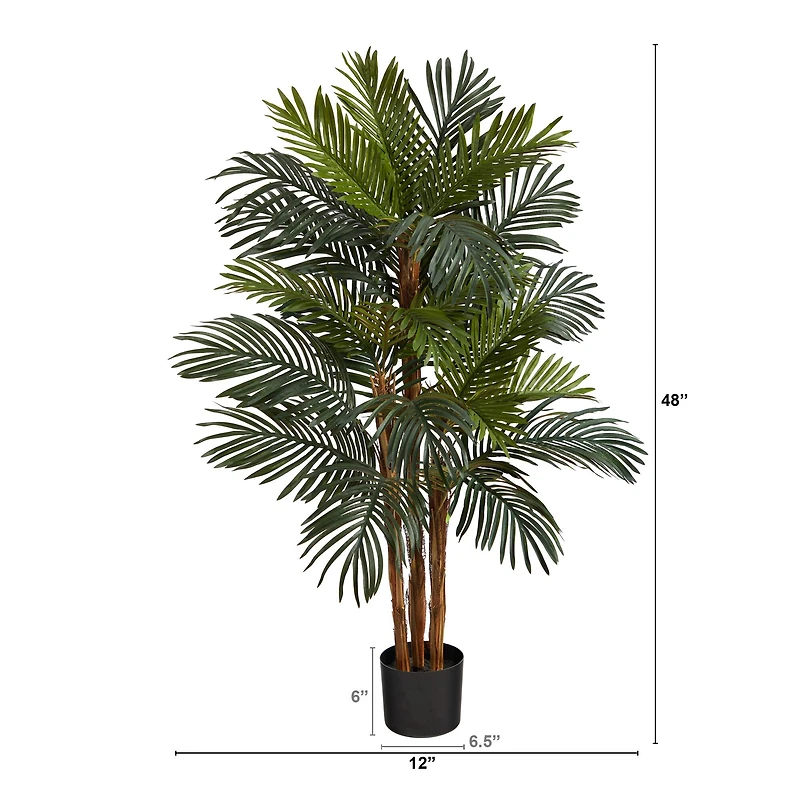 4ft. Potted Date Palm Tree