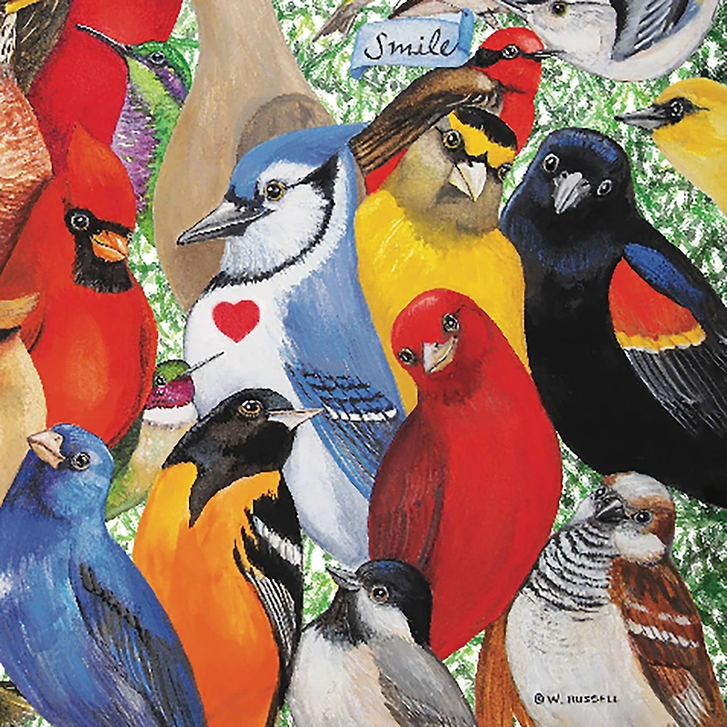 Hart Puzzles Birds, Birds, Birds by Wendy Russell 1,000 Piece Jigsaw Puzzle
