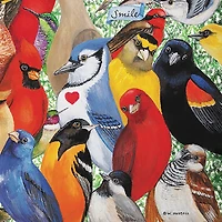 Hart Puzzles Birds, Birds, Birds by Wendy Russell 1,000 Piece Jigsaw Puzzle