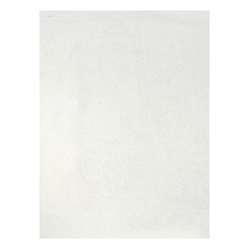 16" x 20" Peonies Paint-by-Number Kit with Wood Display Hanger by Artist's Loft®