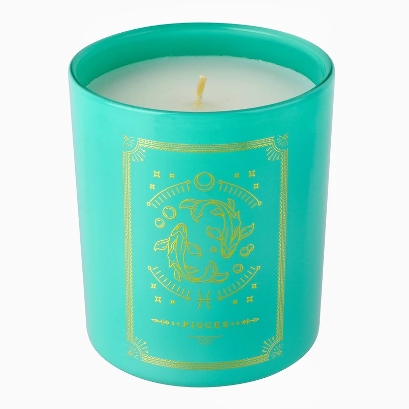 10oz. Scented Pisces Jar Candle by Ashland®