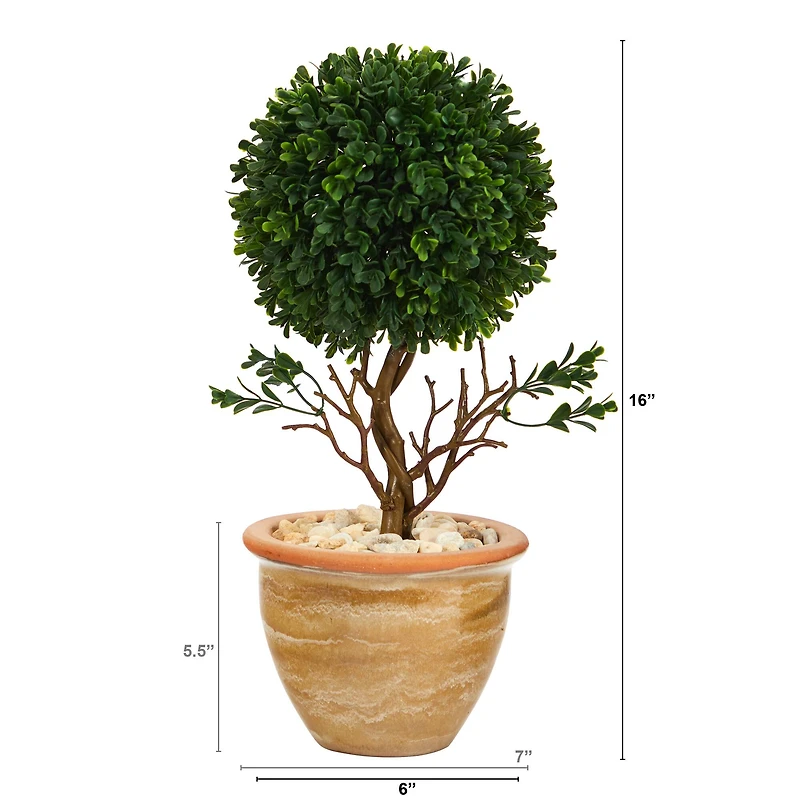 16" Boxwood Topiary Tree in Ceramic Planter