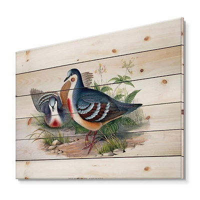 Designart - Vintage Birds In The Wild IV