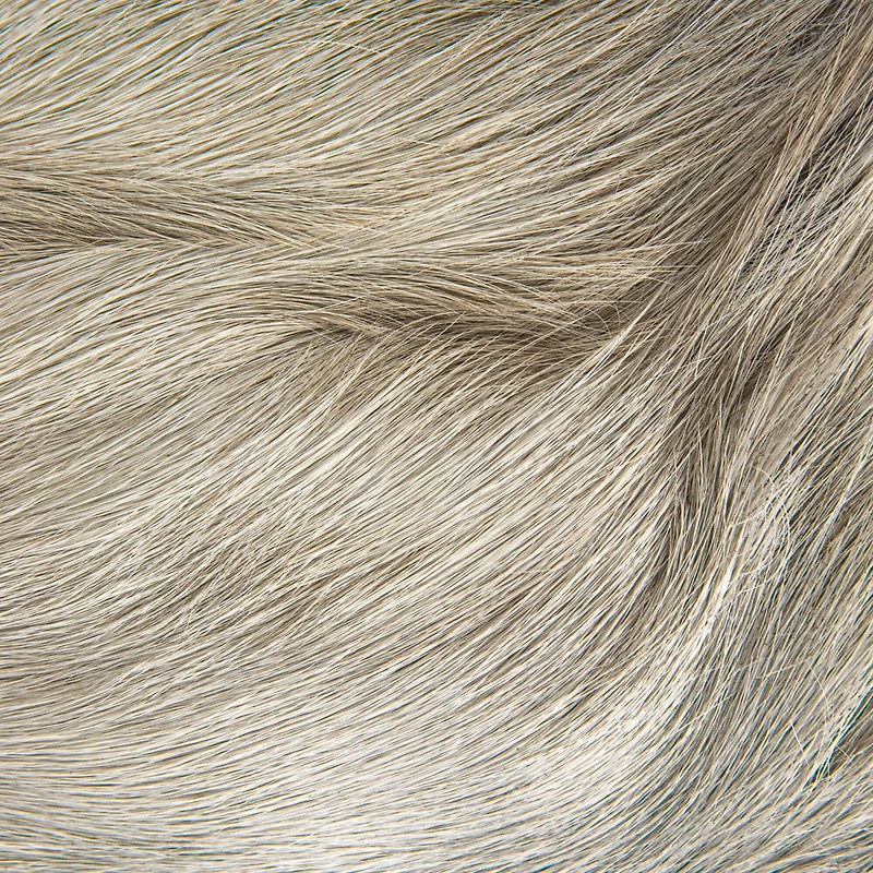 Hello Honey® Natural Teakwood and Goat Fur Folding Stool