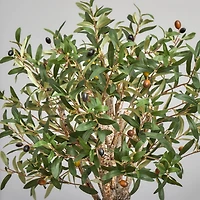 3.5ft. Olive Tree in Gray Cylinder Planter